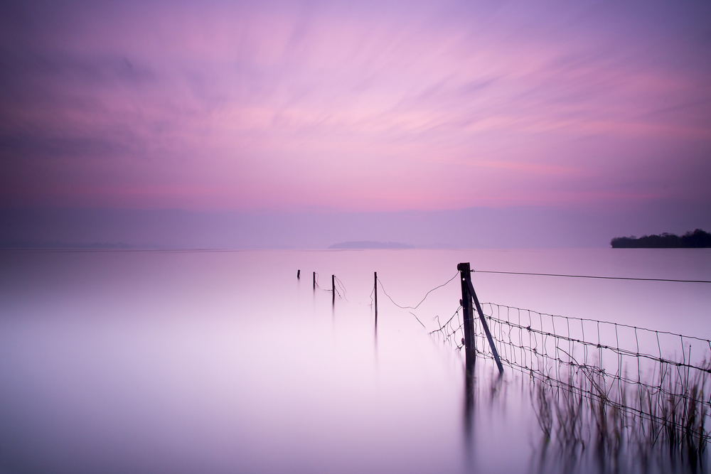 Purple Waterscape Fence by Kieran O Mahony AIPF — canvas wall art
