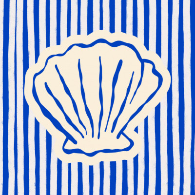 Blue Striped Seashell