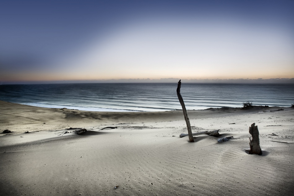 Driftwood Beach Serenity by Mel Brackstone — canvas wall art
