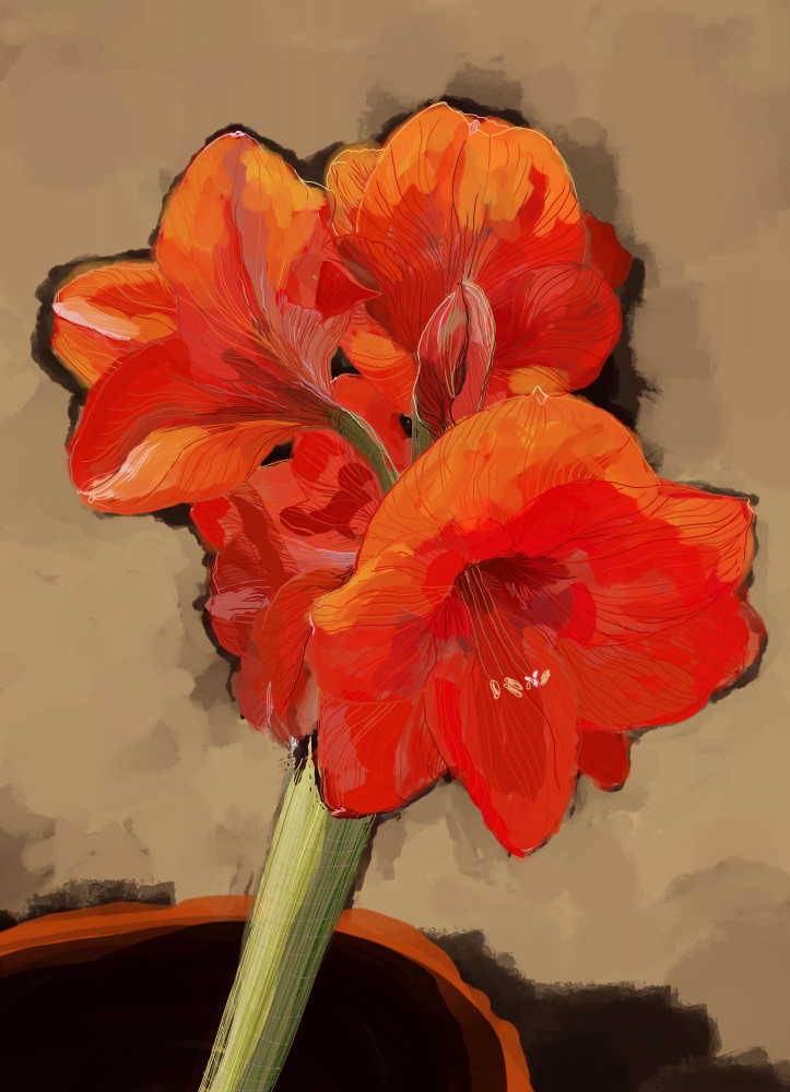 Vibrant Amaryllis Bloom by XHOZUCAN — canvas wall art