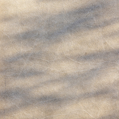 Sunlight Shadow Play