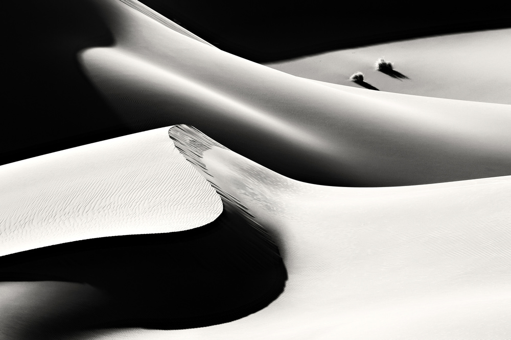 Desert Light and Shadow by Mohammadreza Momeni — canvas wall art