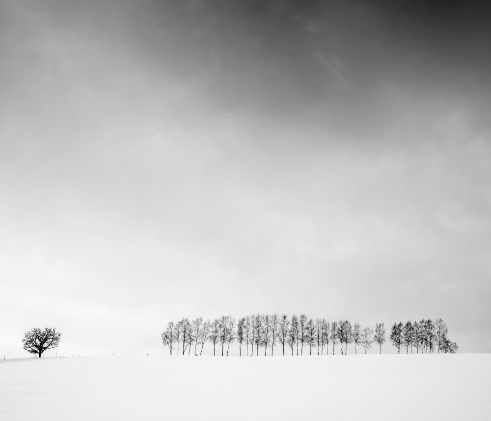Winter Field Solitude by Robert Bolton — canvas wall art