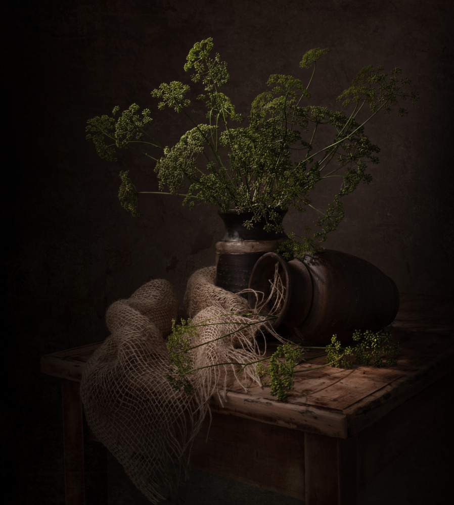Dark Botanical Still Life by Margareth Perfoncio — canvas wall art