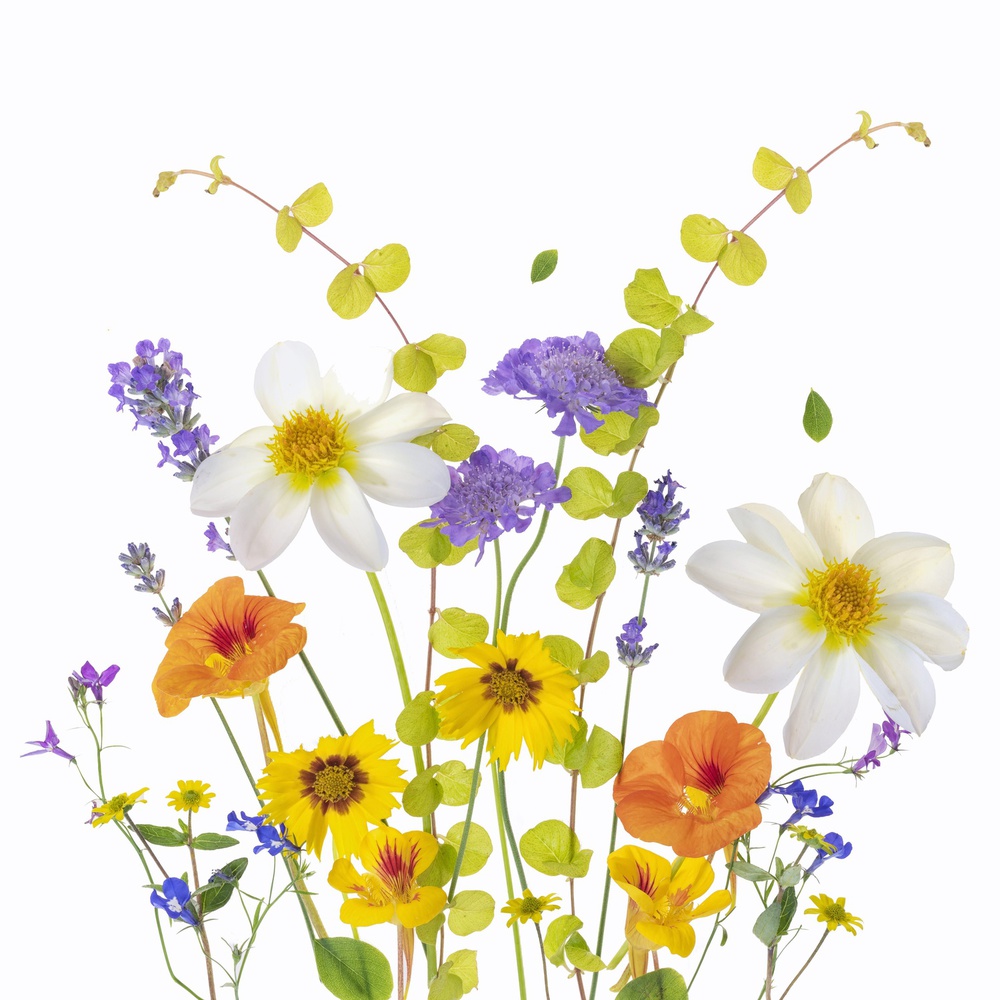 Vibrant Garden Blooms by Sharon Williams — canvas wall art
