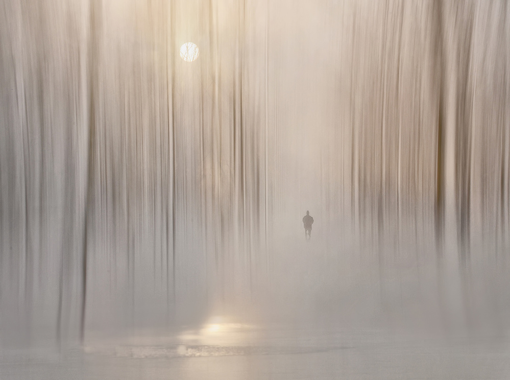 Misty Forest Solitude by Lou Urlings — canvas wall art