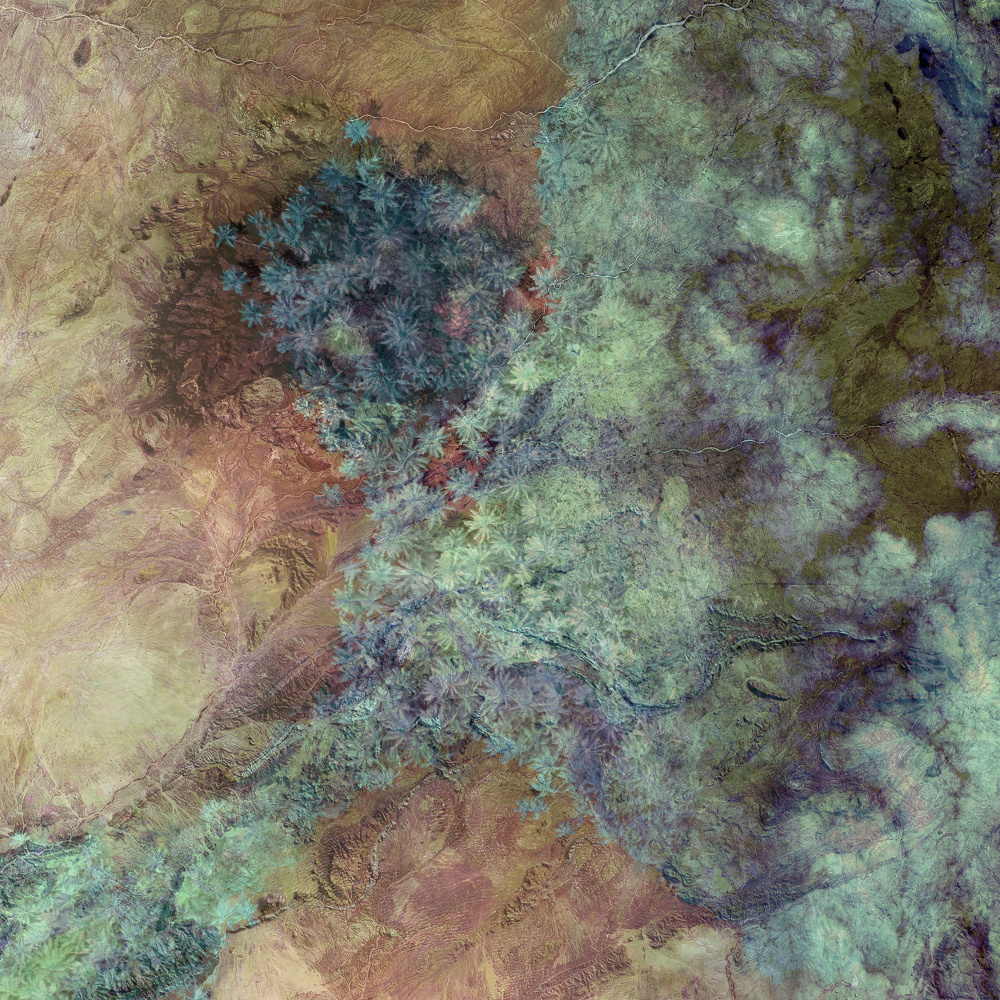 Fractal Earth View by Pelin Atilla — canvas wall art
