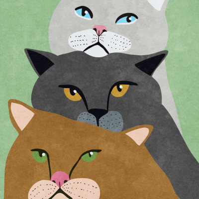 Cat Trio
