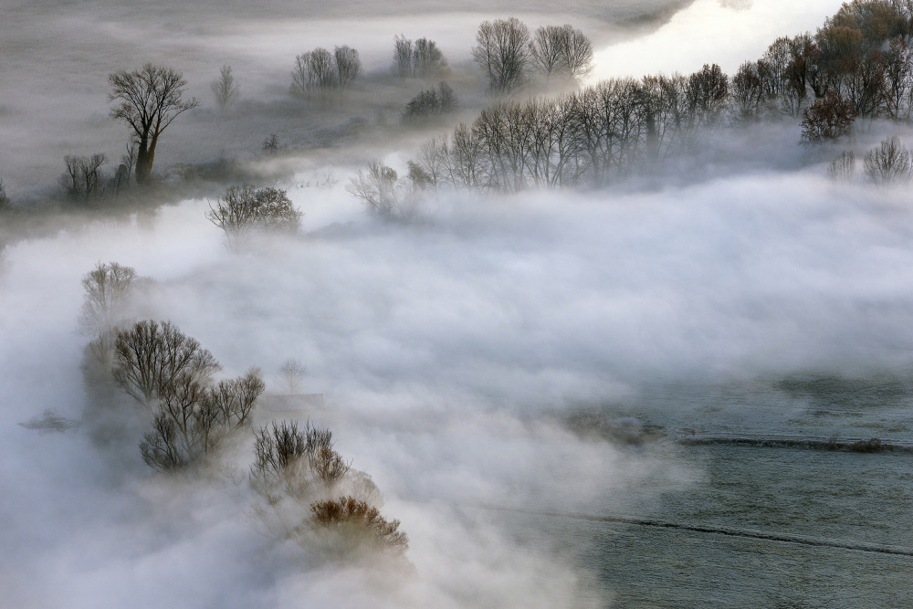 Misty Winter Valley by Fabrizio Daminelli — canvas wall art