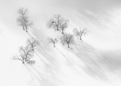 Winter dream - a still ballet by LINGLING GUAN