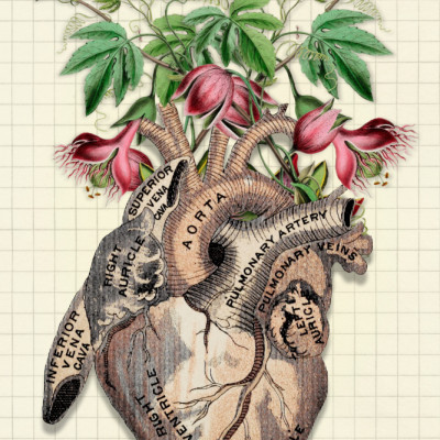 Drawings From the Heart