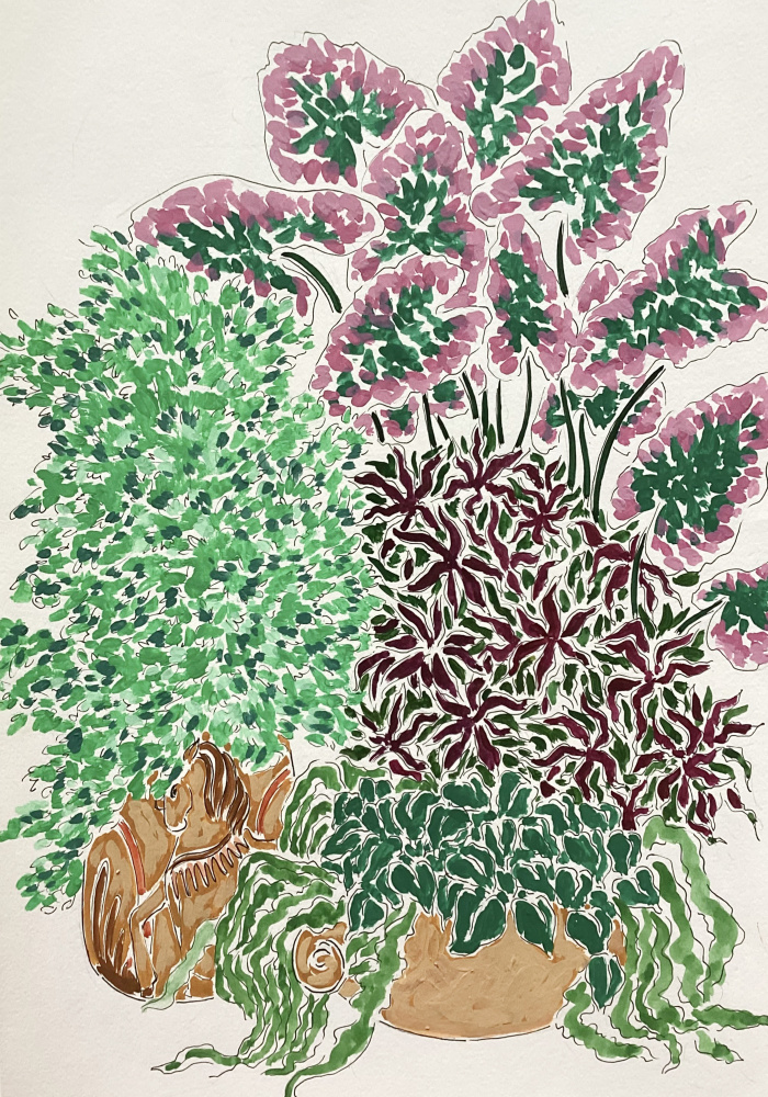 Vibrant Potted Plants by Rushati Chowdhury — canvas wall art