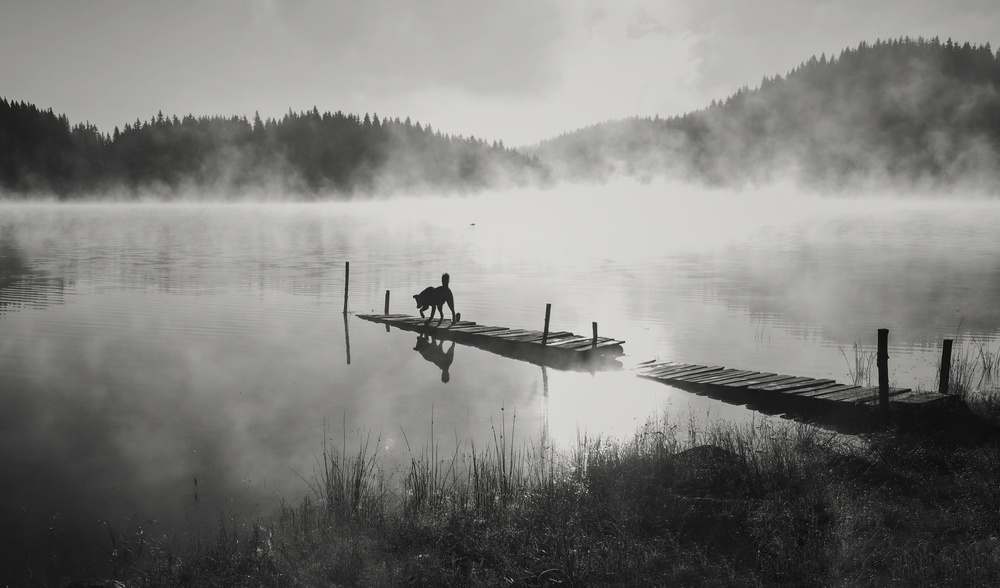 Misty Lake Dog Walk by Zlatina Peeva — canvas wall art
