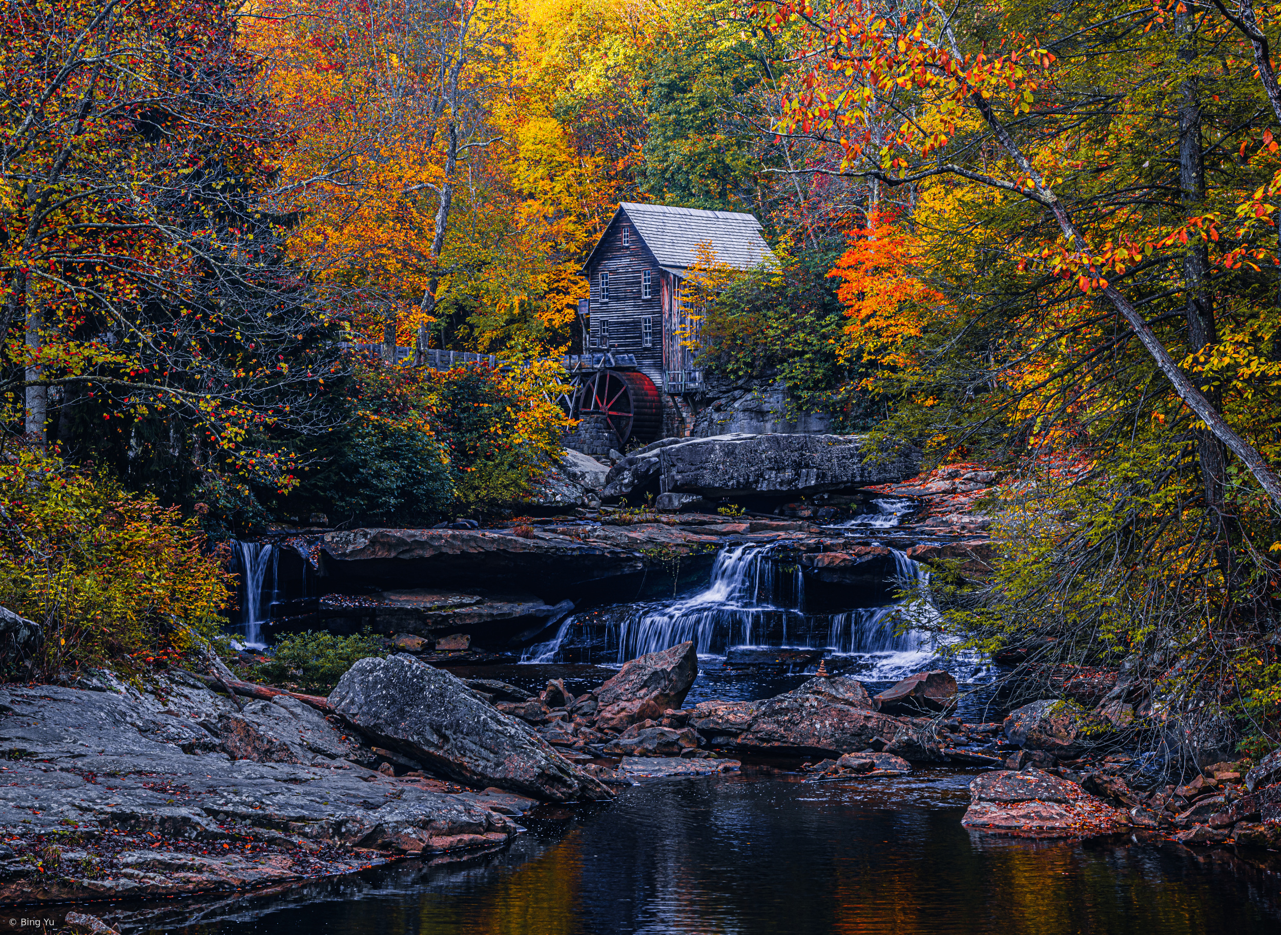 Secret Fall by Bing Yu