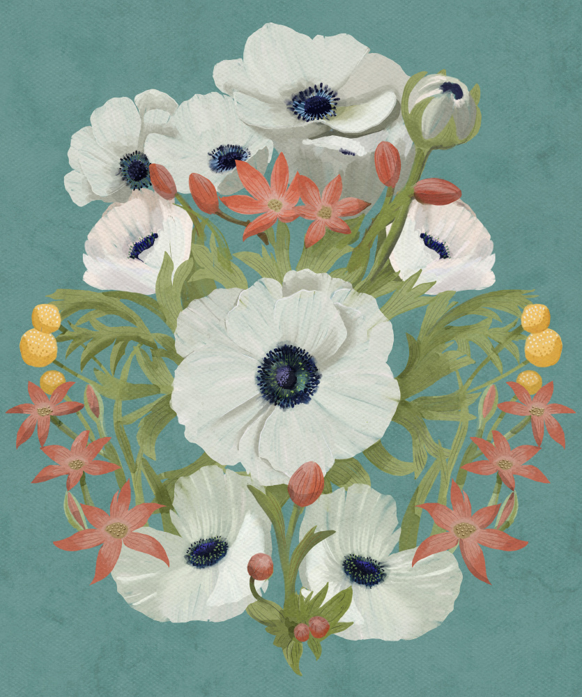 Anemone by Katie O'Shea — canvas wall art