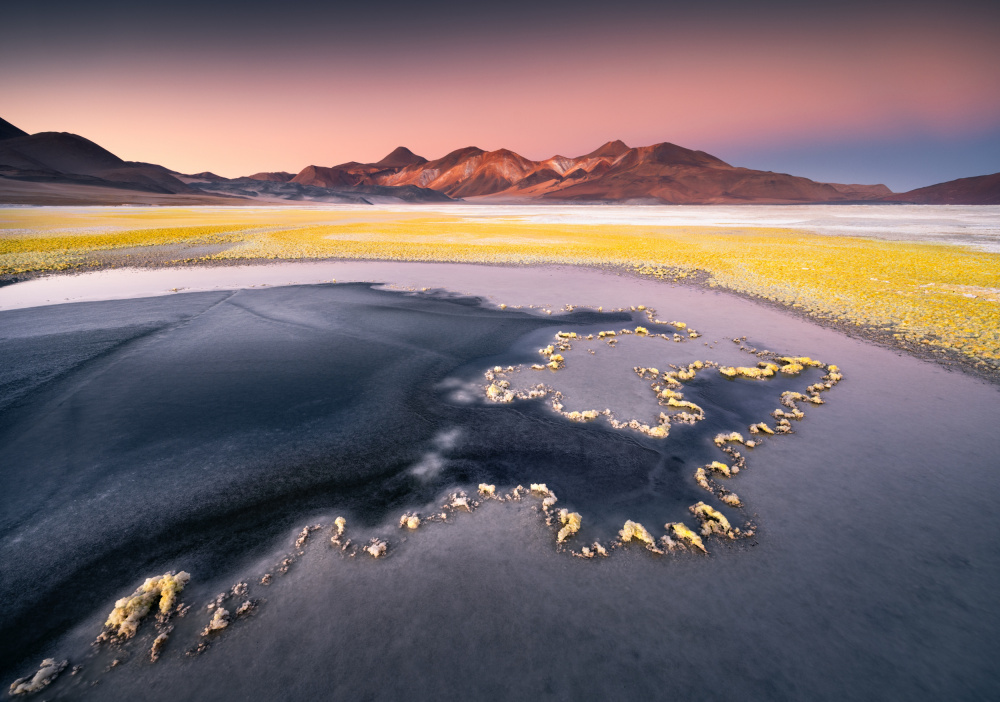 Surreal Yellow Lake Sunset by Karol Nienartowicz — canvas wall art