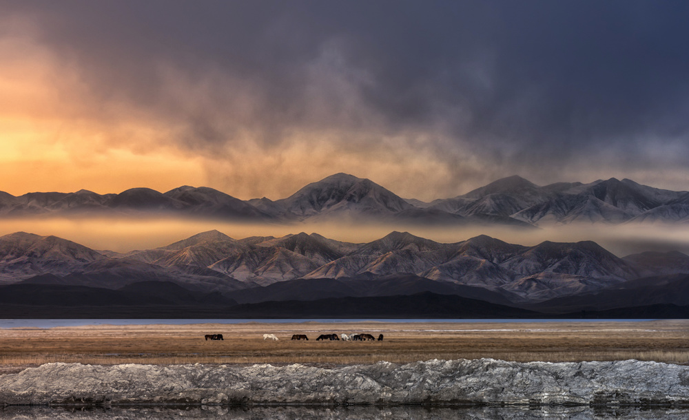 Misty Mountain Lake Horses by Larry Deng APA — canvas wall art