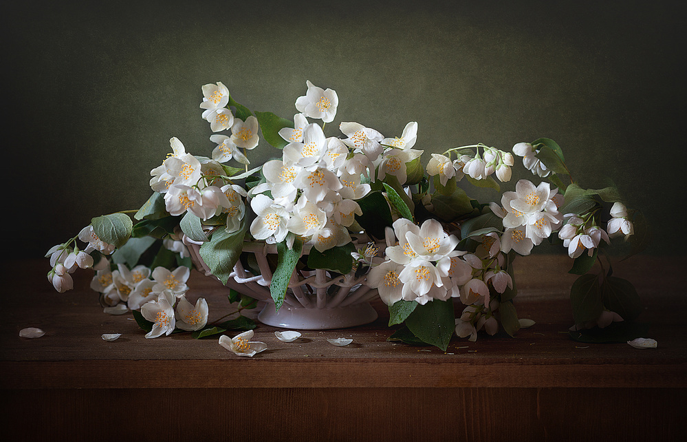 White Jasmine Still Life by Alina Lankina — canvas wall art