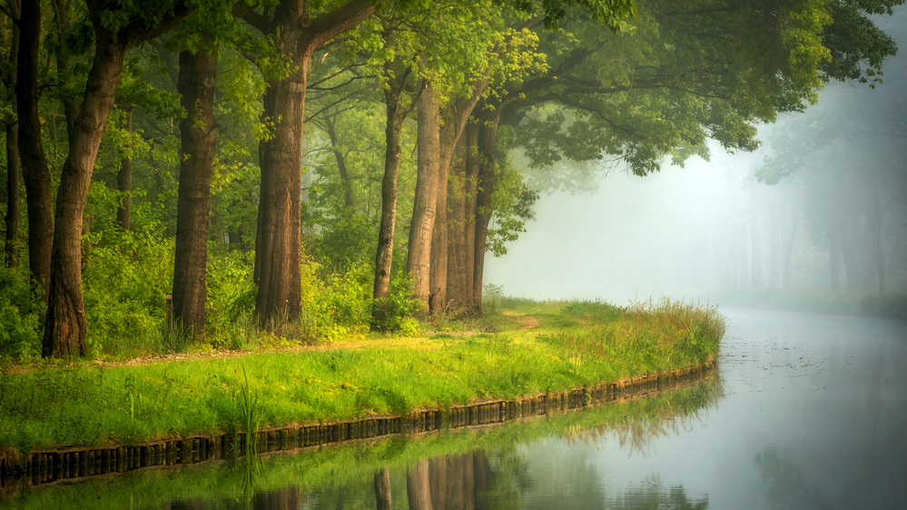 Misty Forest River by Sus Bogaerts — canvas wall art