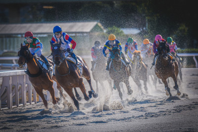 Battle at the Final Turn by JUNKO TORIKAI