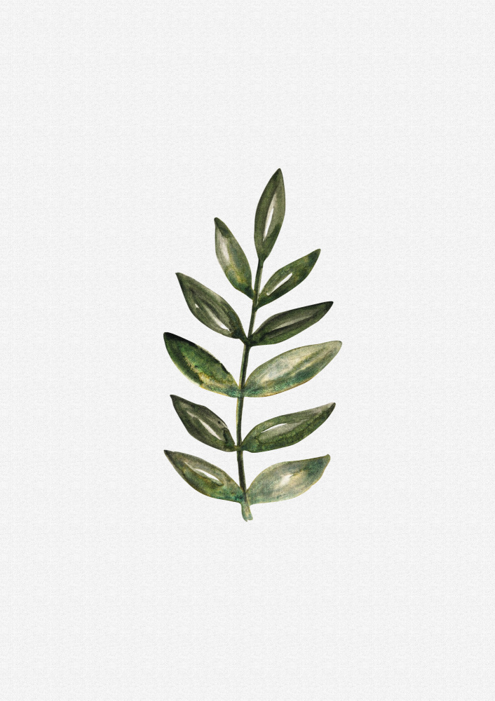 Watercolor Olive Branch by Olena Kovalova — canvas wall art