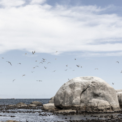 Rocky Seashore Under A Clear Sky
