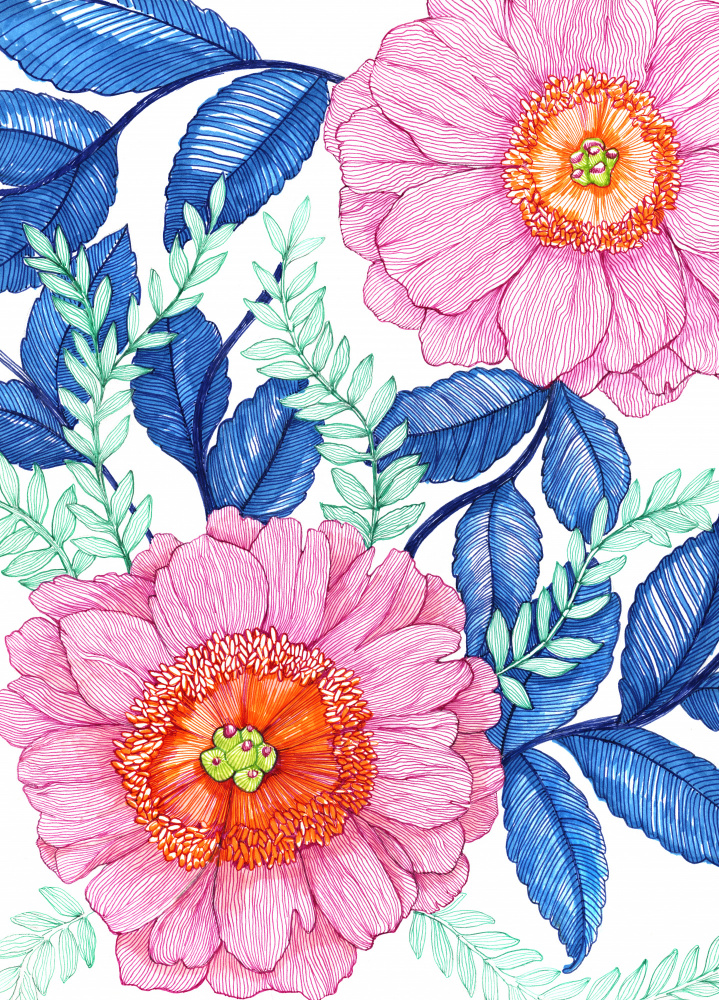 Pink Florals by Katie O'Shea — canvas wall art