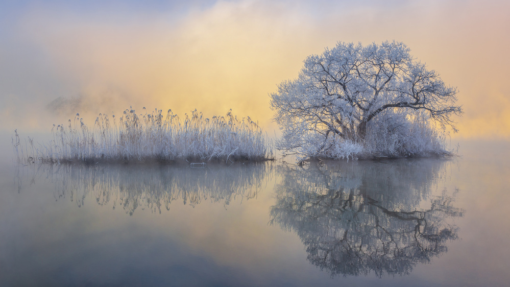 Misty Winter Reflections by Jaeyoun Ryu — canvas wall art