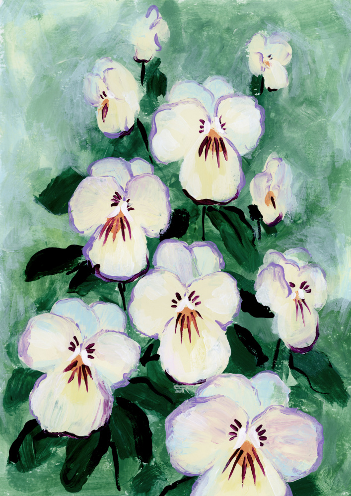 Fresh White Pansies by Rosana Laiz Blursbyai — canvas wall art