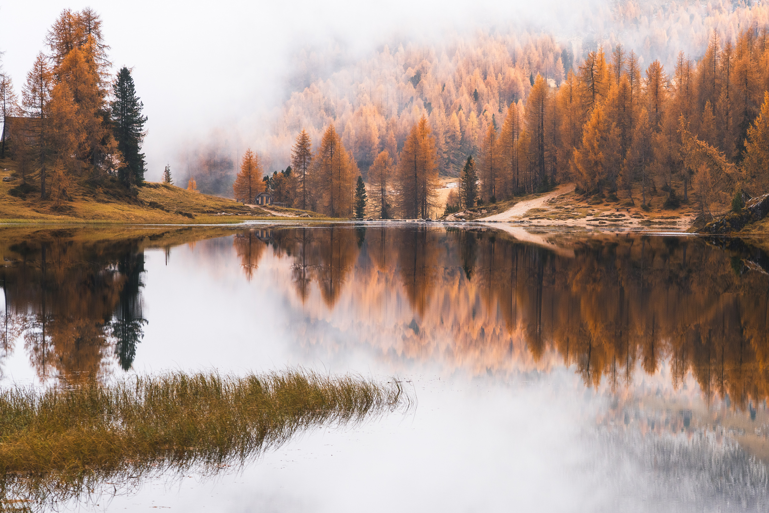 Balzak yoshidagi individual eskortlar