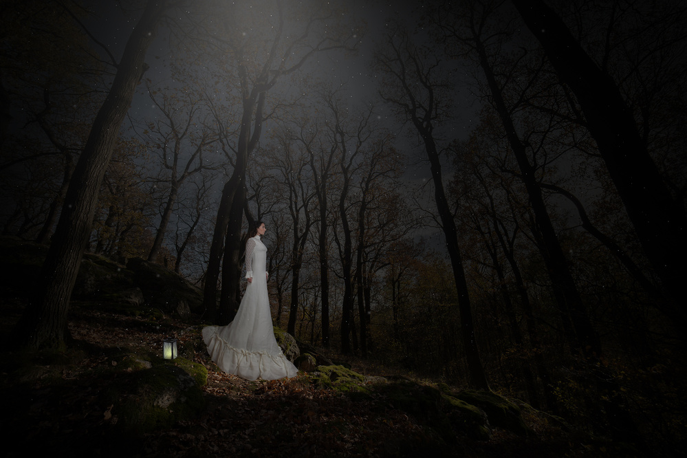 Solitary Woman Dark Woods by Martin Marcisovsky — canvas wall art