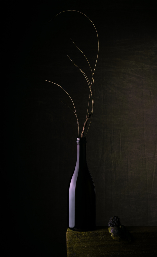 Dark Bottle Still Life by Sumit Dhuper — canvas wall art