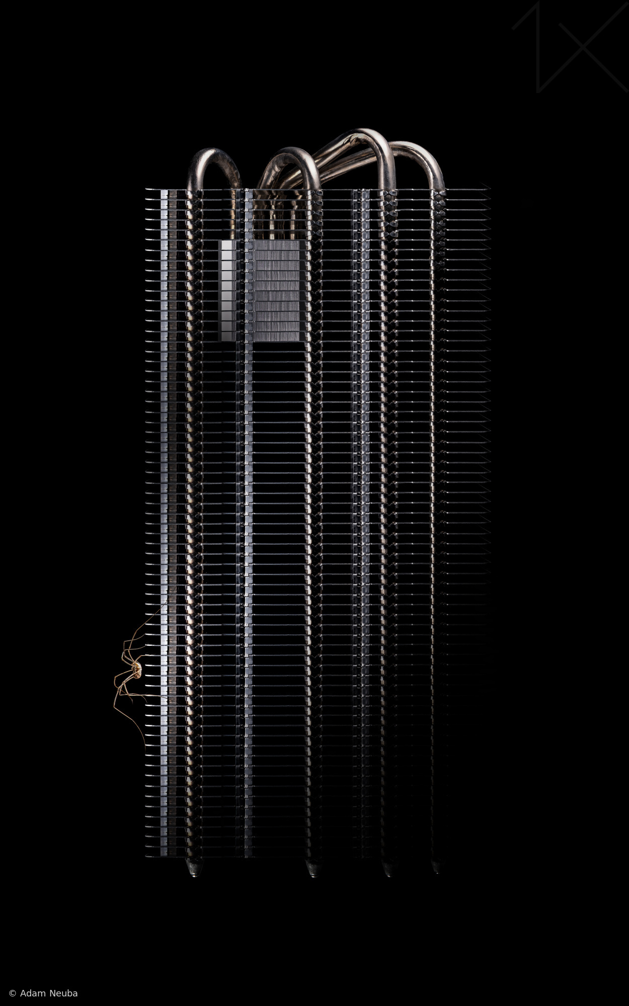 The Climber