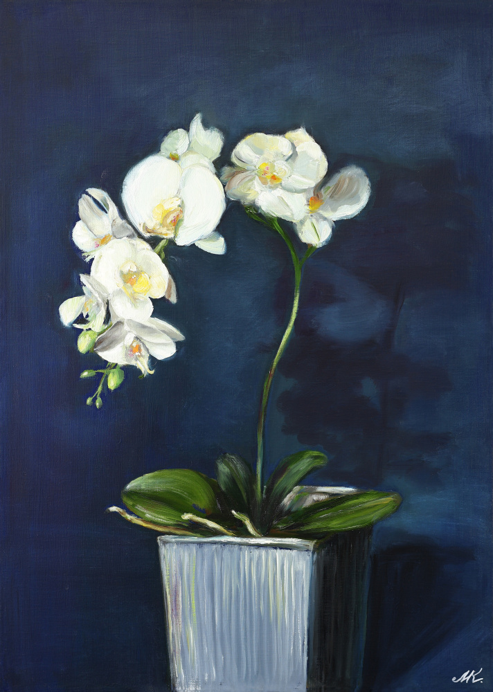 Elegant White Orchids by Marina Kozyr — canvas wall art
