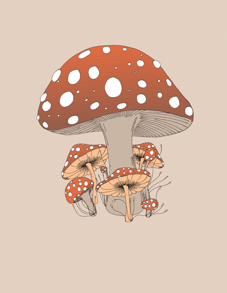 Mushroom Forest Dream by Nicholas — canvas wall art