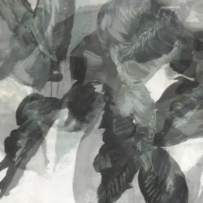 Mist over the Arboretum