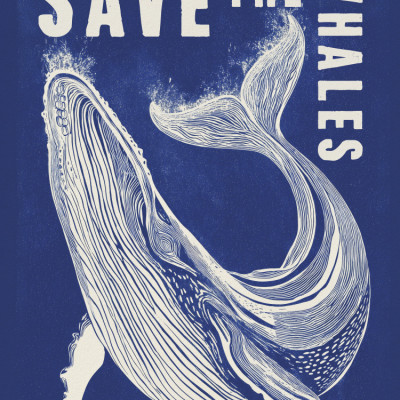 Save the Whales