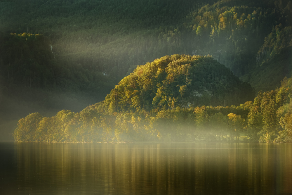 Forest Lake Morning Glow by Patrick Aurednik — canvas wall art