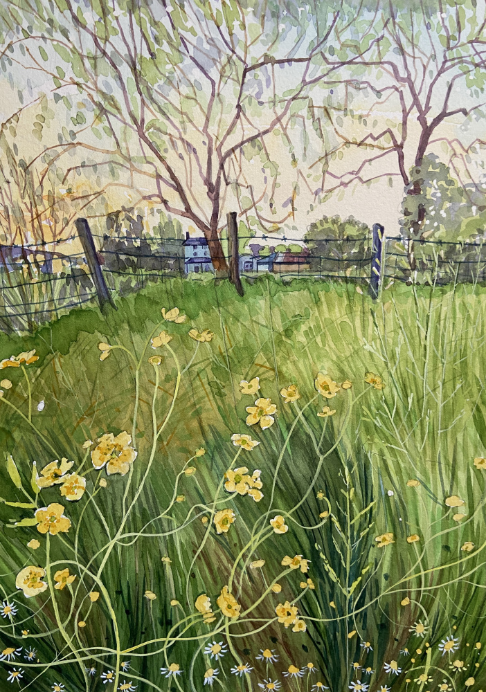 Meadow Flowers And Fence by Luisa Millicent — canvas wall art