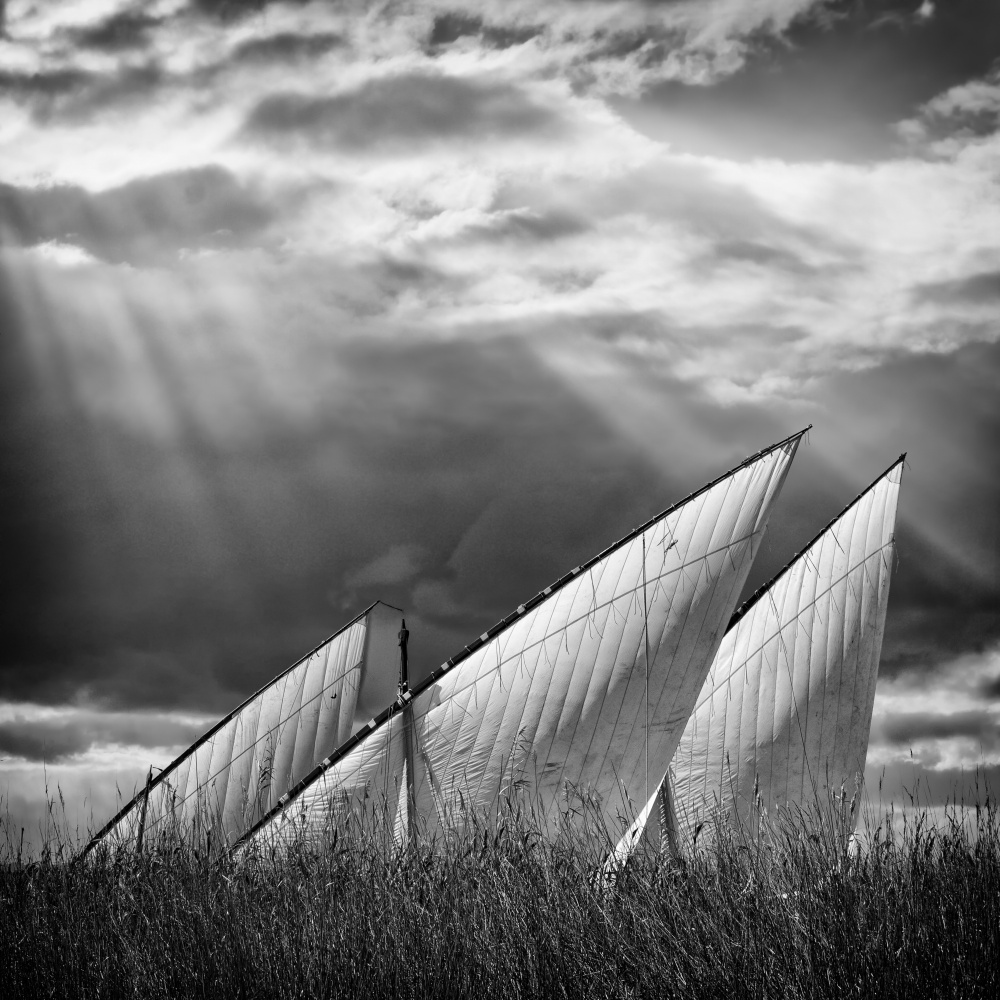 Light Rays Over Sails by Angel Villalba — canvas wall art