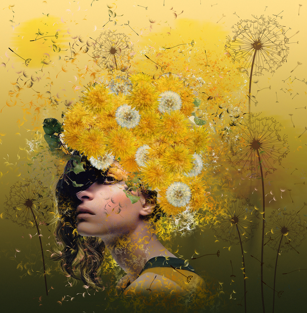 Dandelions by Natalia Simongulashvili ( NATALIORION ) — canvas wall art