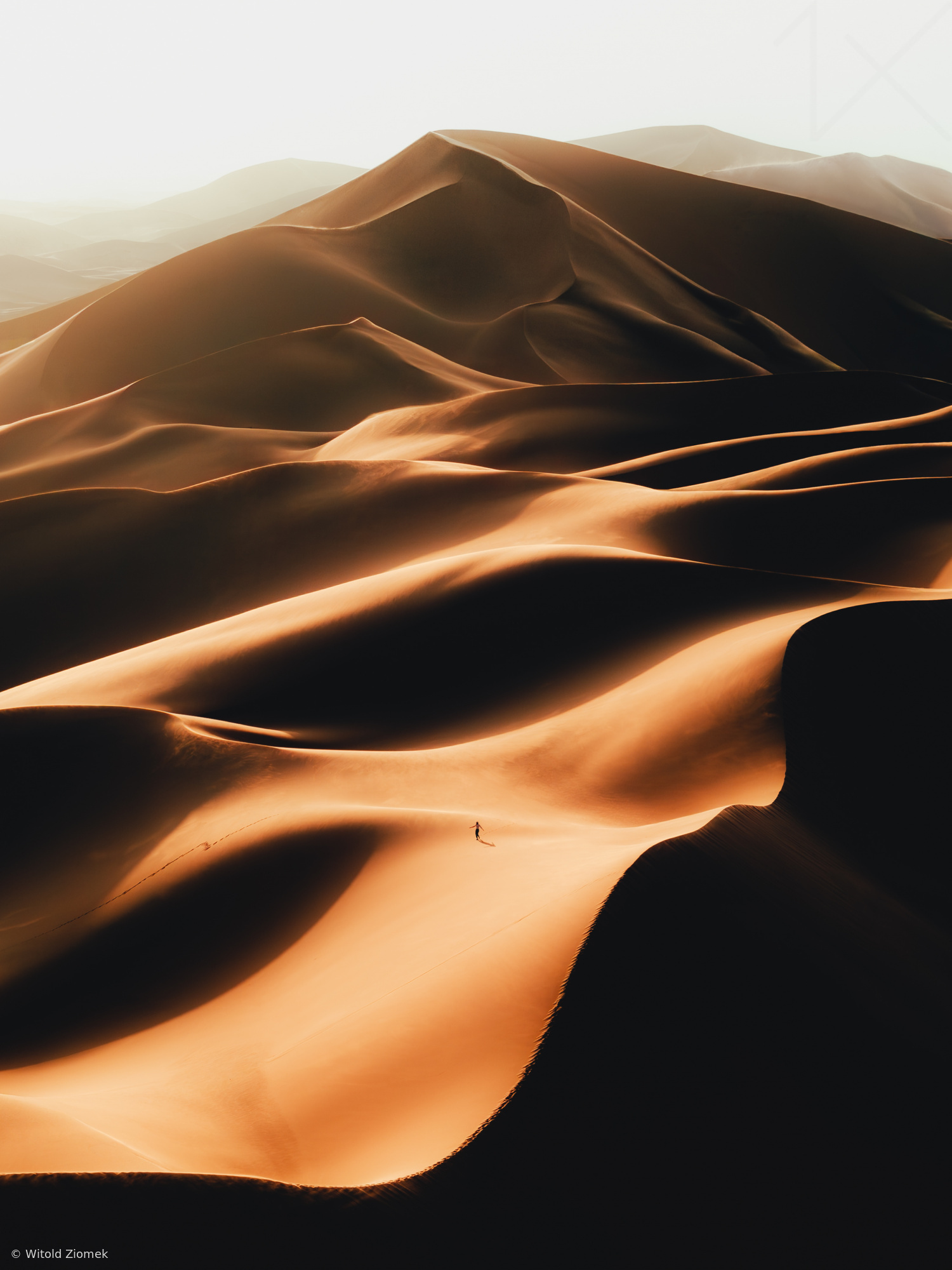 Gobi Desert