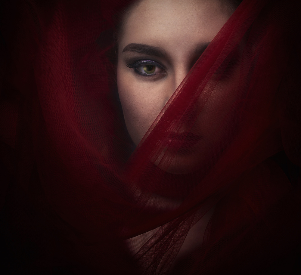 Red Veiled Gaze by hardibudi — canvas wall art