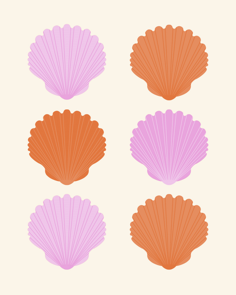 Pastel Sea Shell Collection by Artprink — canvas wall art