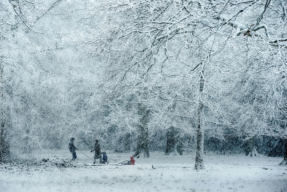 Winter Wonderland Play by Saskia Dingemans — canvas wall art