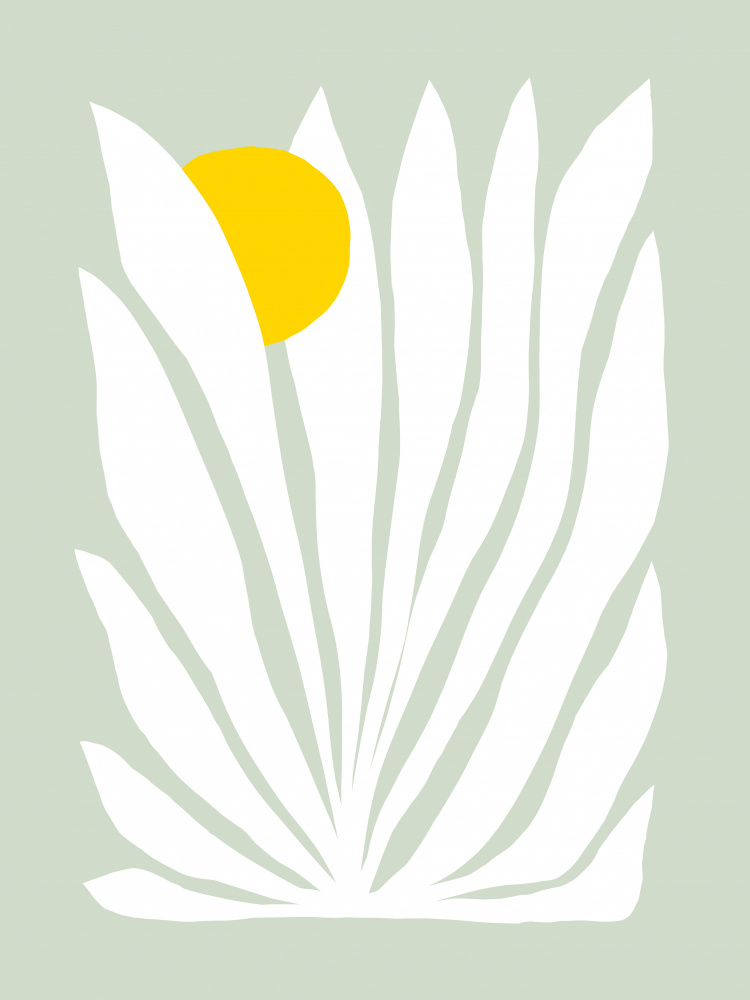Organic Sun Bloom by Dominique Vari — canvas wall art