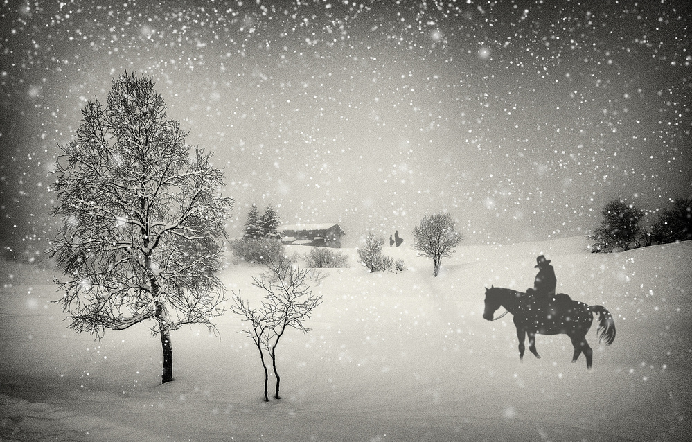 Lone Cowboy Winter Ride by Vito Guarino — canvas wall art