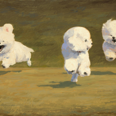 Three Dogs Running
