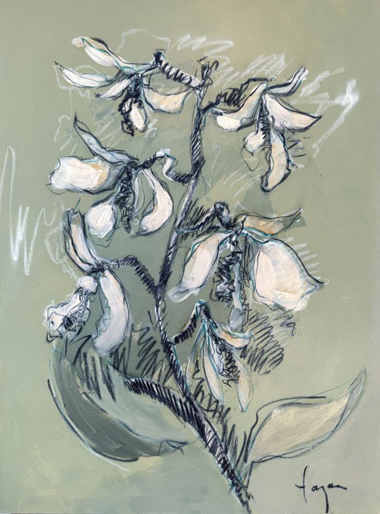 White Floral Sketch by Dorothy Fagan — canvas wall art