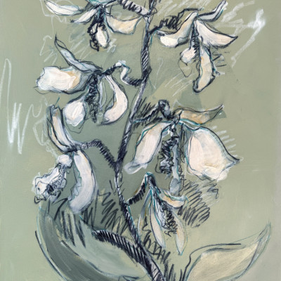 White Floral Sketch